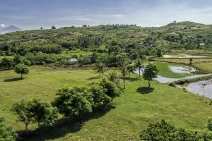 Nagaindo land for sale investment property Kuta Lombok surf yoga villa